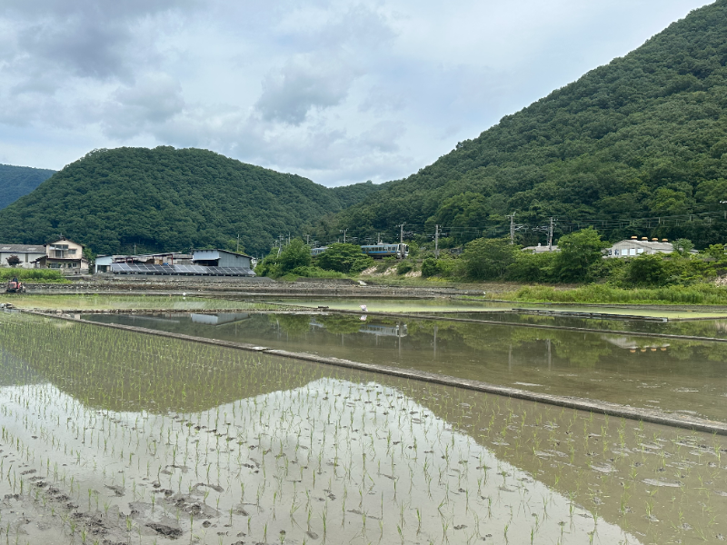 田舎でも浮気調査はできる？成功に導く探偵の秘密兵器とは