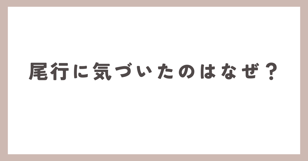 探偵の尾行に気付いた奥さん。その結末とは？？