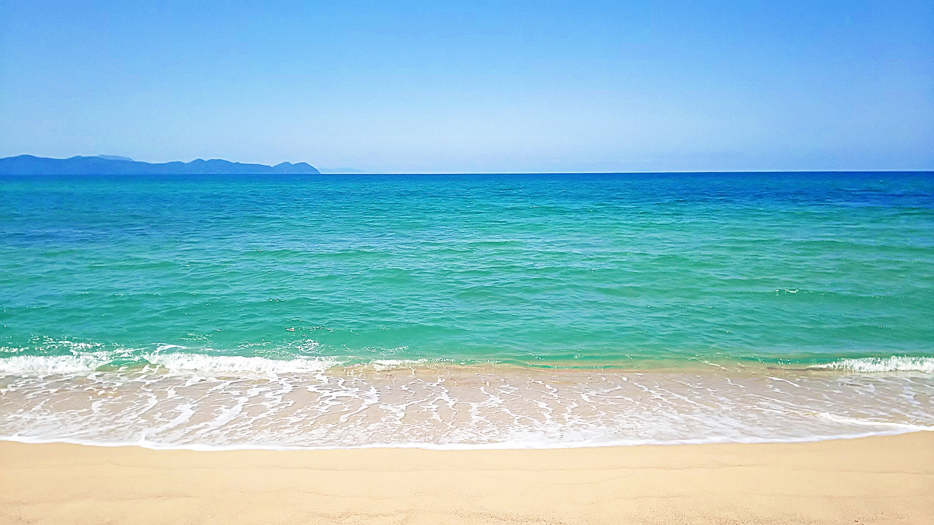 夏の海